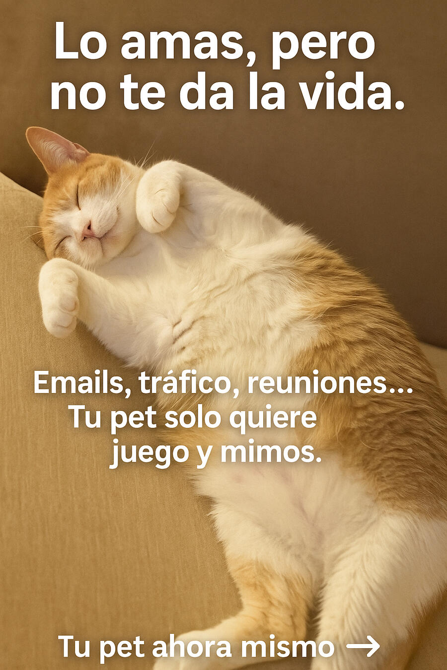 In-home drop-in visits & walks for cats + dogs Scottdale. Decatur. Avondale Estates Photo/video updates every visit. Same sitter (me) Background check available. Hours flexible by request !